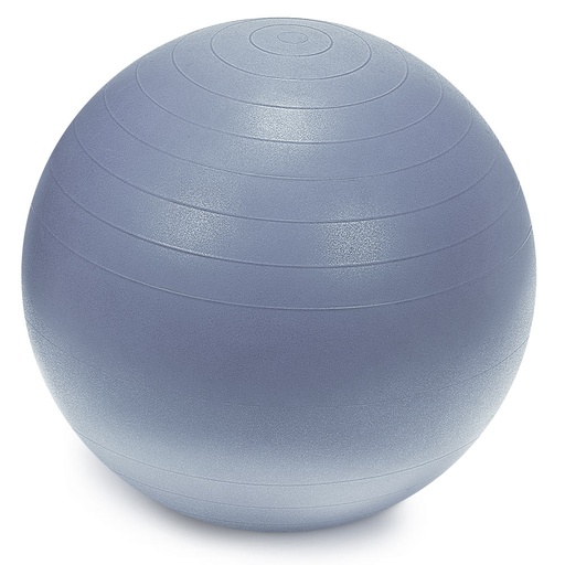 [24-WG081-gray] Sprite Stasis Ball 55 cm